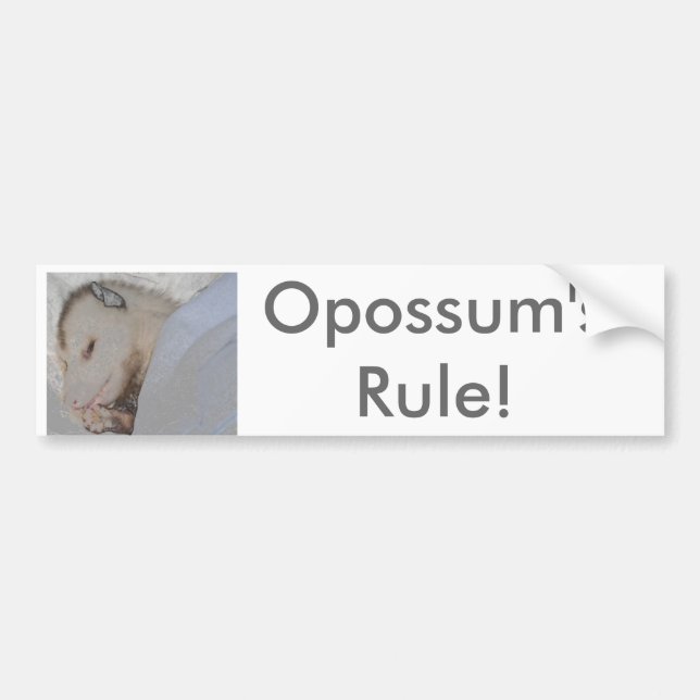 Opossum's Rule! Bumper Sticker (Front)