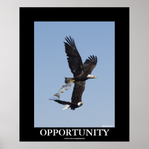 Opportunity Bald Eagles Motivational Photo Poster