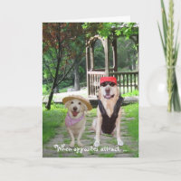 Opposites Attract Funny Dogs