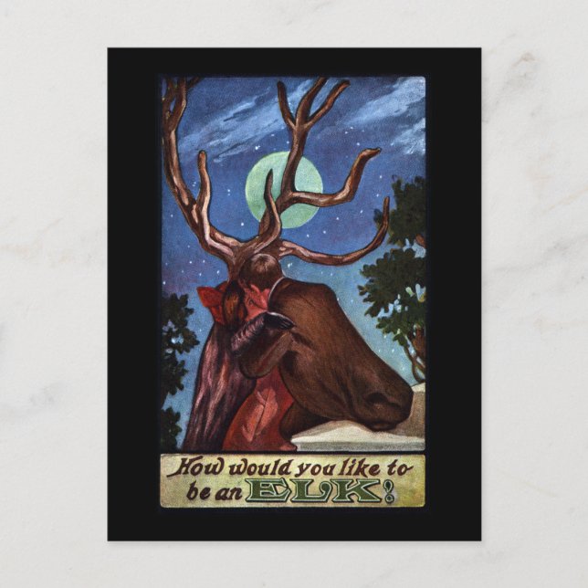 Optical Illusion Elk Postcard (Front)