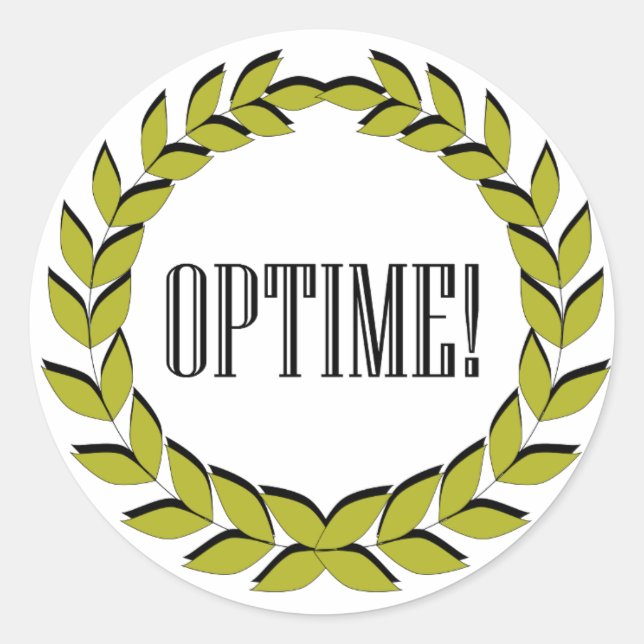 Optime! Excellent job! Classic Round Sticker (Front)