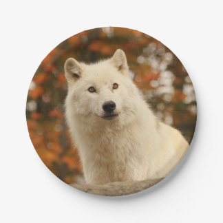 Optimism Paper Plate