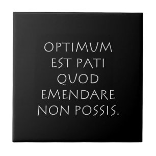 Optimum est pati quod emendare non possis tile