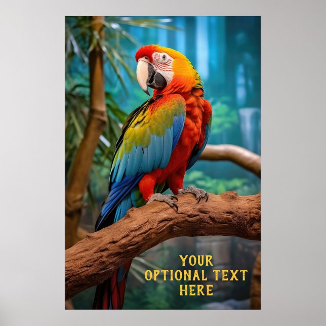 Optional Text Colourful Parrot Poster (Front)