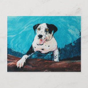 OPUS POSTCARD
