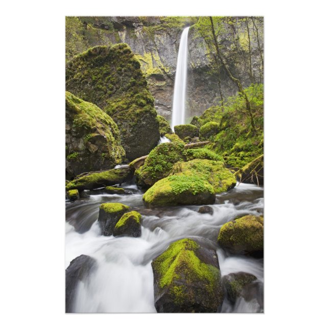 OR, Columbia River Gorge, Elowah Falls and Photo Print (Front)