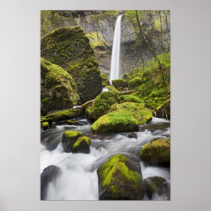OR, Columbia River Gorge, Elowah Falls and Poster