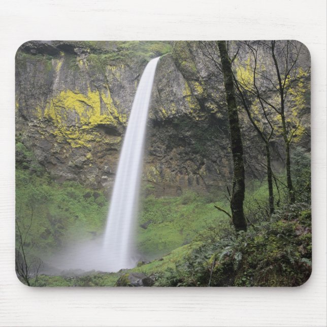 OR, Columbia River Gorge, Elowah Falls, McCord Mouse Pad (Front)