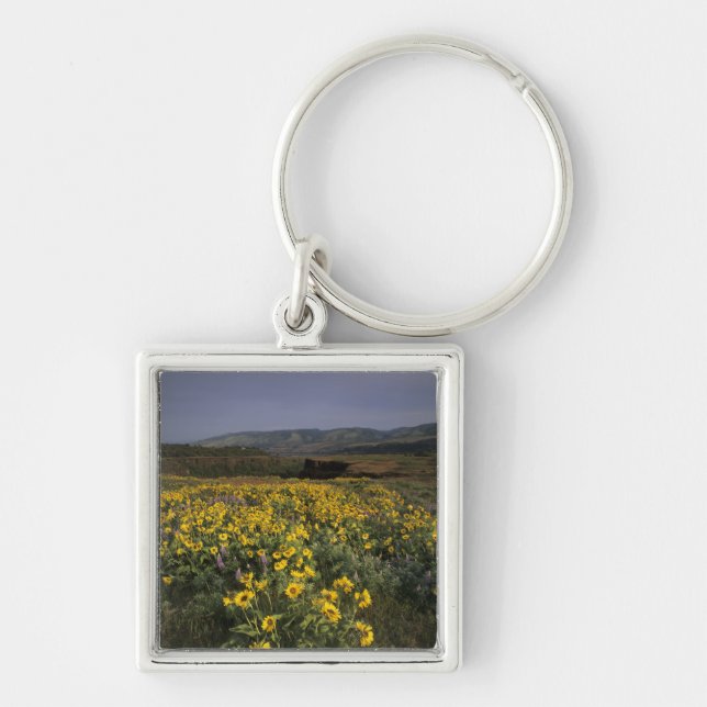 OR, Columbia River Gorge, Rowena Plateau, Tom Key Ring (Front)