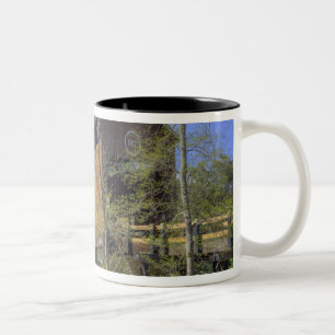 OR, Jackson County, McKee Covered Bridge Two-Tone Coffee Mug