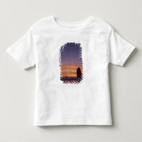 OR, Oregon Coast, Cannon Beach, seastacks at