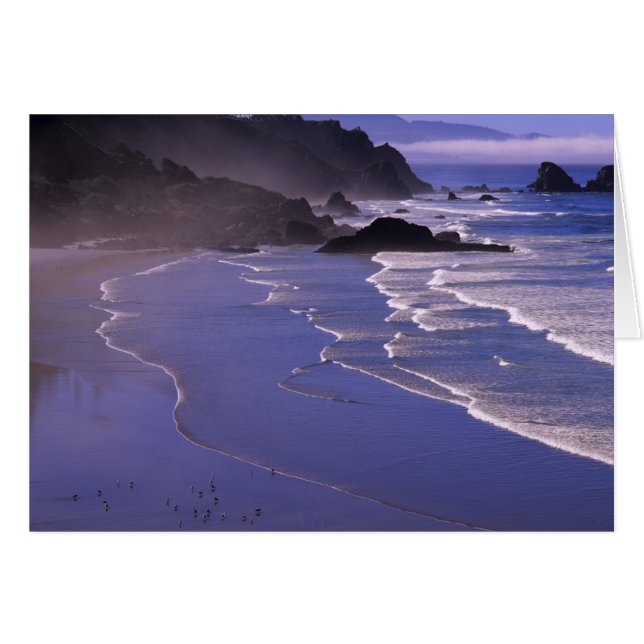 OR, Oregon Coast, Ecola SP, Indian Beach with (Front Horizontal)