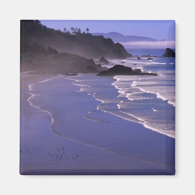 OR, Oregon Coast, Ecola SP, Indian Beach with Magnet (Front)