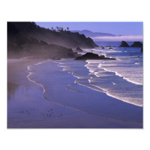 OR, Oregon Coast, Ecola SP, Indian Beach with Photo Print
