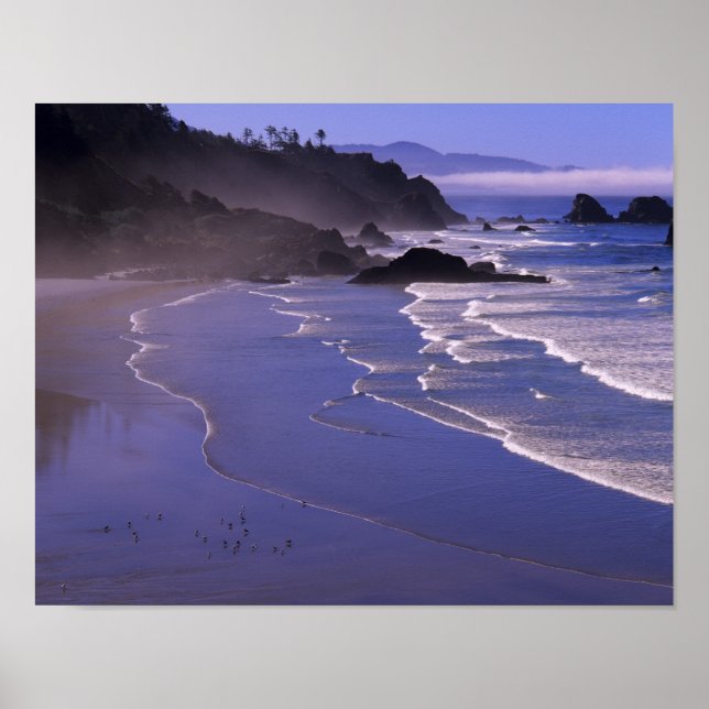 OR, Oregon Coast, Ecola SP, Indian Beach with Poster (Front)