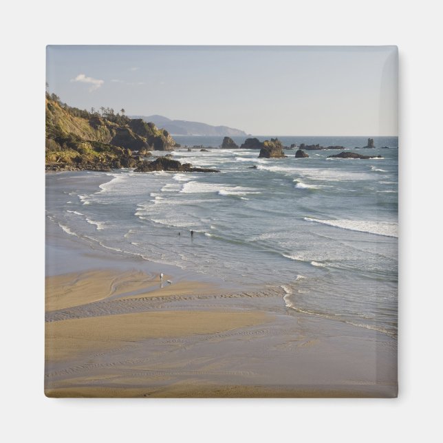 OR, Oregon Coast, Ecola State Park, Indian Magnet (Front)