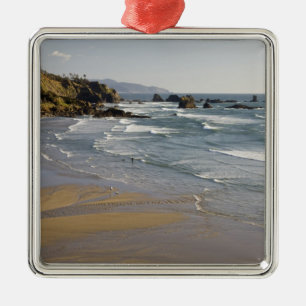 OR, Oregon Coast, Ecola State Park, Indian Metal Tree Decoration
