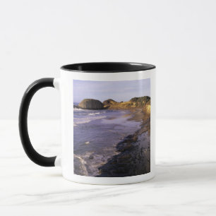 OR, Oregon Coast, Newport, shoreline at Seal Mug