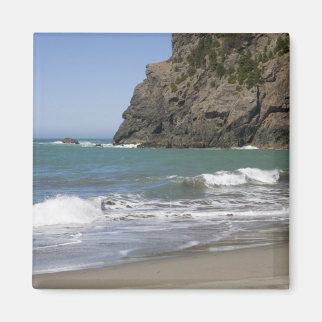 OR, Oregon Coast, Whaleshead Beach, South Magnet (Front)