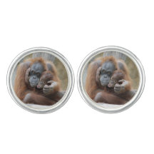Orang Utan 001