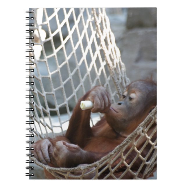 Orang-Utan Notebook (Front)