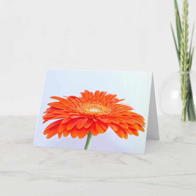 "Orange!" 5" x 7" greetings card, blank Card (Front)