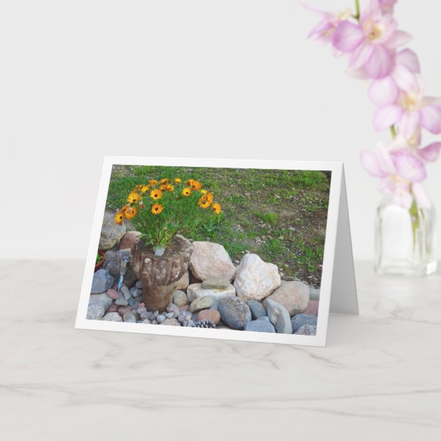 Orange African Daisies Portrait Card (Orchid)