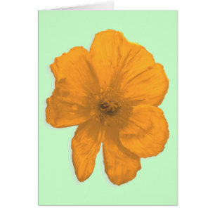 Orange Aid/ PopArt Flower