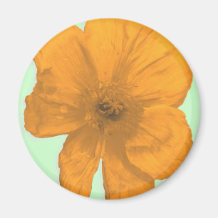 Orange Aid/ PopArt Flower Magnet