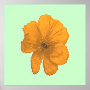 Orange Aid/ PopArt Flower Poster