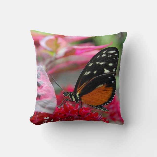 Orange and Black Butterfly on Flowers Photo Pillow (Front)