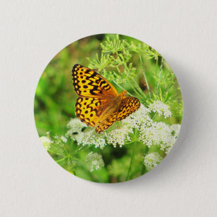 Orange and Black Butterfly on White Flowers 6 Cm Round Badge