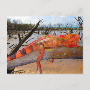 Orange and black lizard in Margarita Holiday Postcard