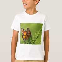 Orange and Black Monarch Butterfly