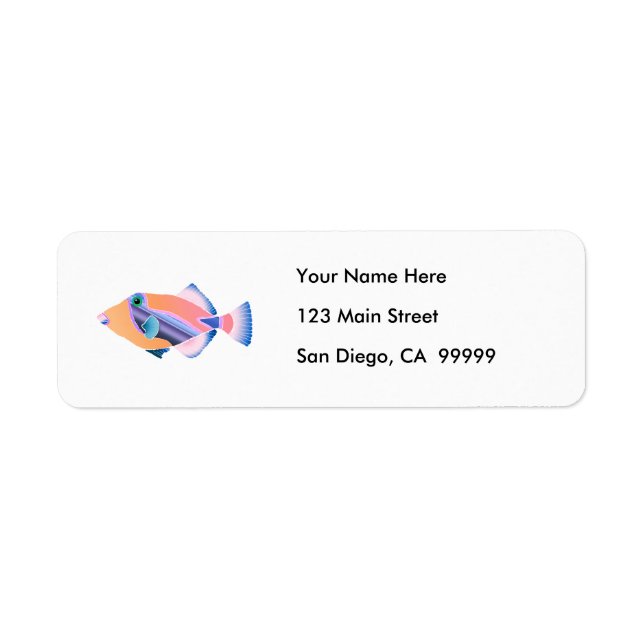 Orange and Blue Tropical Fish (Front)