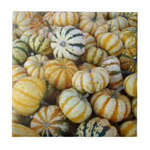 Orange and Green Autumn Harvest Gourds Tile