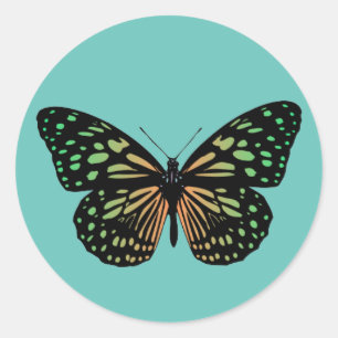 Orange And Green Spotted Butterfly Classic Round Sticker