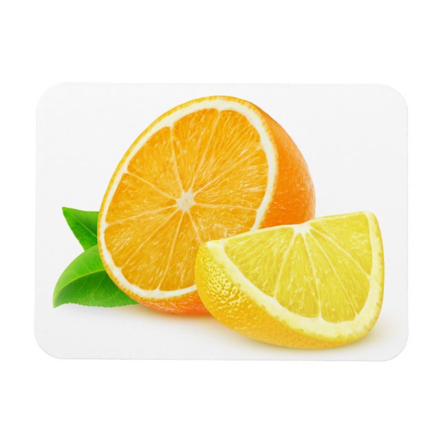 Orange and lemon pieces magnet (Horizontal)