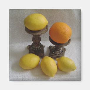Orange and Lemons Magnet