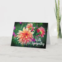 Orange and Pink Dahlia Flower With Sympathy