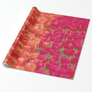 Orange and Pink Tulips Wrapping Paper