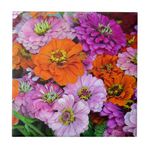 Orange and purple dahlia flowers tile