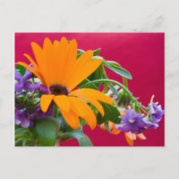 Orange And Purple Flower Theme Postcard