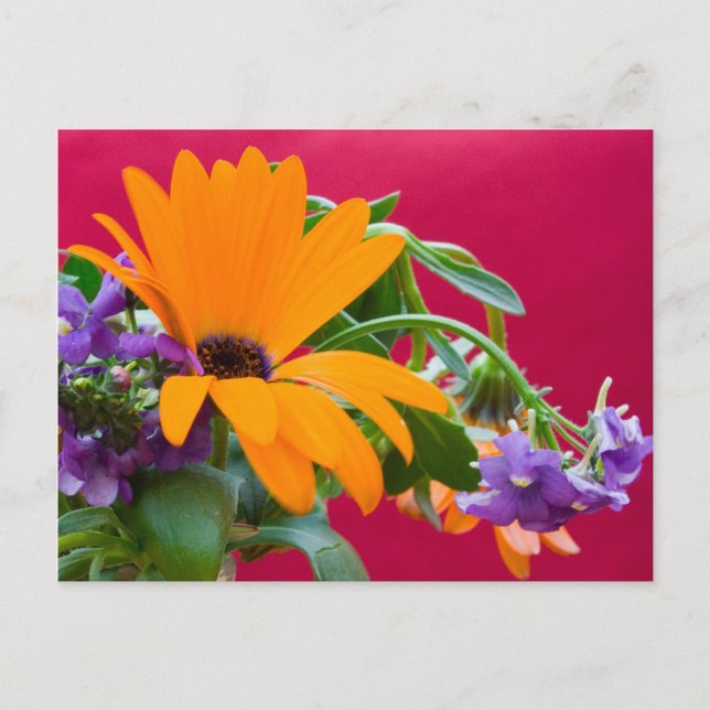 Orange And Purple Flower Theme Postcard (Front)