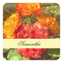 Orange And Red Flower Garden