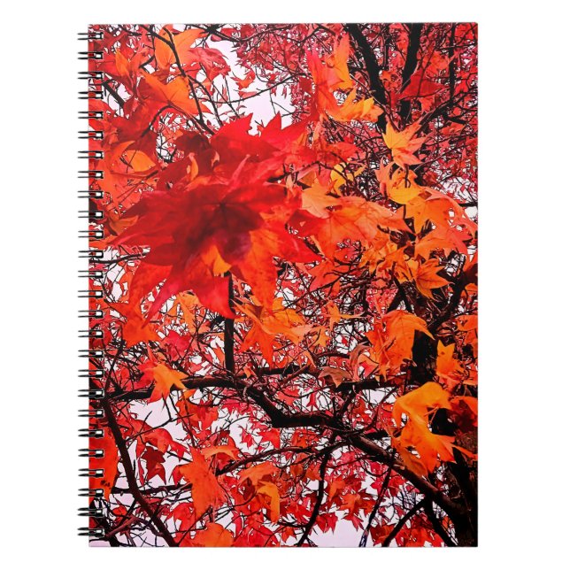 Orange and red leaves  notebook (Front)