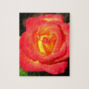 Orange and Red Rose Up Close Jigsaw Puzzle