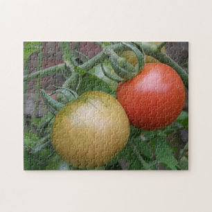 Orange and Red Tomatoes Puzzle