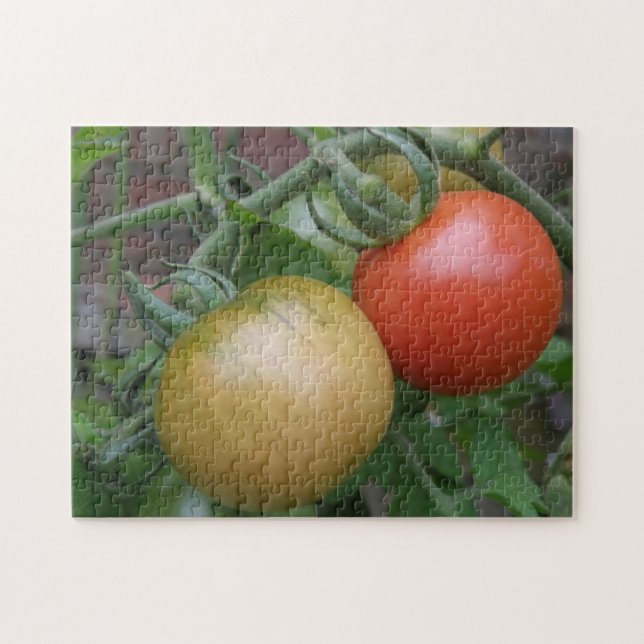 Orange and Red Tomatoes Puzzle (Horizontal)