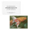 Orange and White Koi Artist Business Card